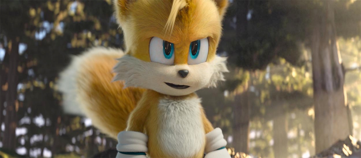 What Is Sonic The Hedgehog 2 About? image